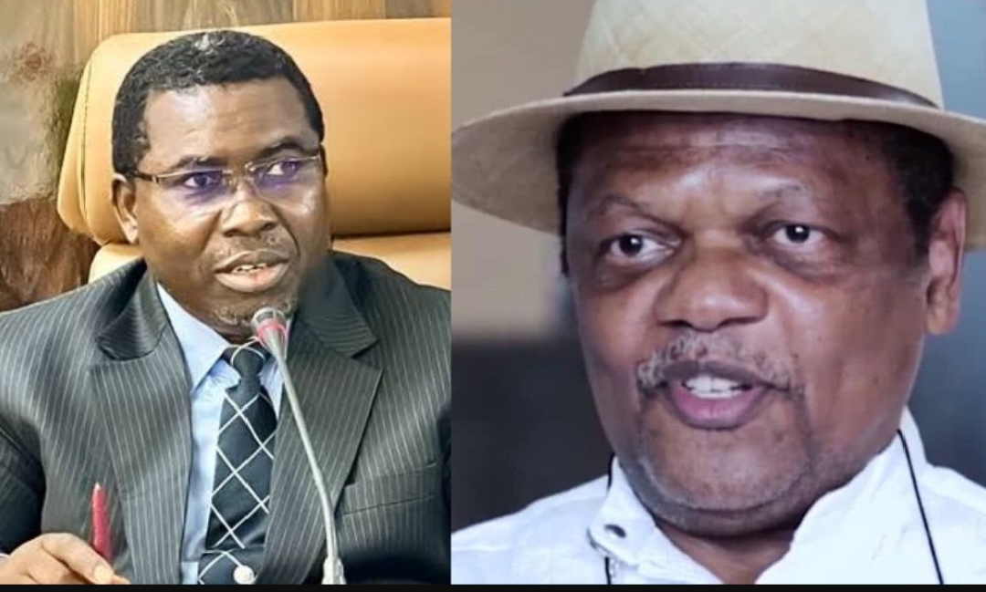 Peterside Demands Explanation From INEC Over Delay in Uploading Final Osun Election Results